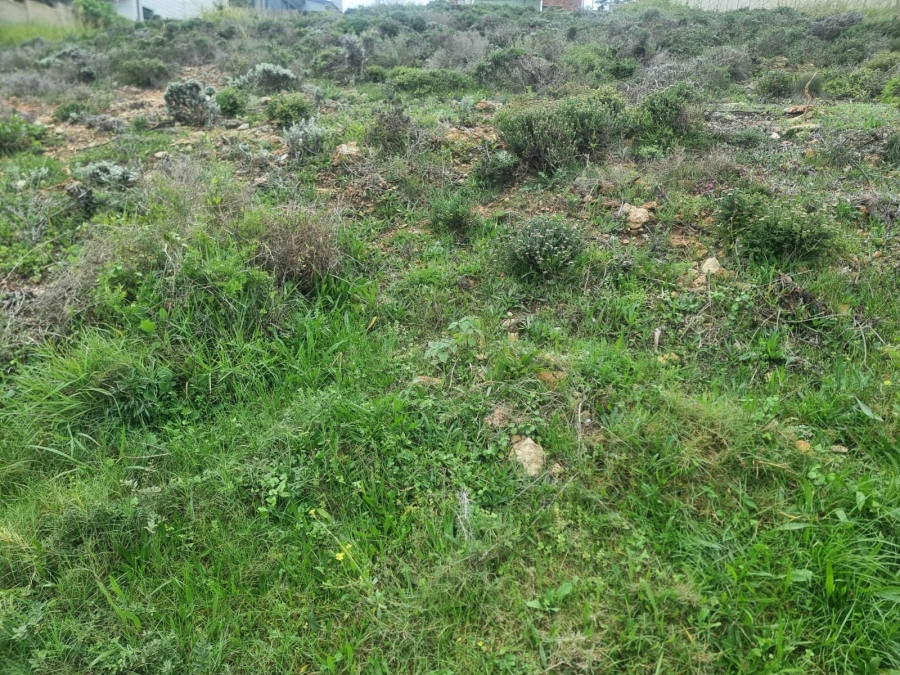 0 Bedroom Property for Sale in Dana Bay Western Cape